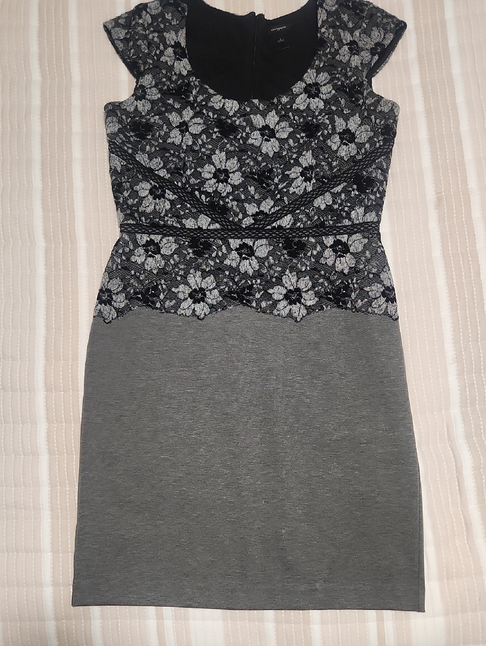 Ann Taylor Gray and Black Lace-Overlay Cap-Sleeve Sheath Dress